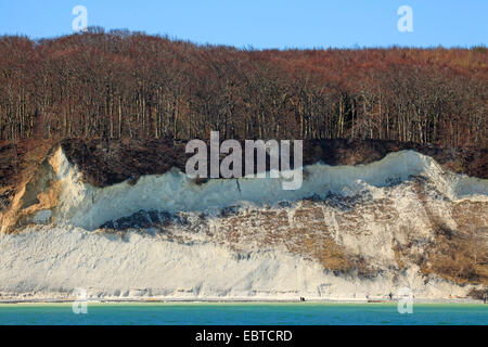 Vista dal mare presso la ripida costa con le famose scogliere di gesso e alcuni promenaders sulla spiaggia stretta al di sotto, Germania, Meclemburgo-Pomerania, Jasmund National Park, Ruegen Foto Stock