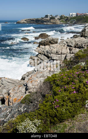 Resort La rocciosa costa atlantica, Sud Africa, Western Cape, Hermanus Foto Stock