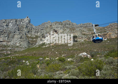 Funivia fino al Monte Table, Sud Africa, Western Cape Foto Stock