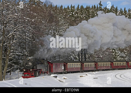 Treno del Harzquerbahn andando a neve-cowered paesaggio di Harz in pieno vapore; la stretta-manometro railwayconnects città Nordhausen (Turingia) e Wernigerode (Sassonia-Anhalt), Germania, Sassonia-Anhalt, Harz, Drei-Annen-Hohne Foto Stock