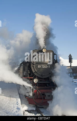 Treno del Harzquerbahn in pieno vapore; la stretta-manometro railwayconnects città Nordhausen (Turingia) e Wernigerode (Sassonia-Anhalt), Germania, Sassonia-Anhalt, Harz, Wernigerode Foto Stock