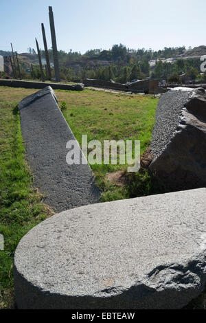 Stele campo. Aksum. Nord dell'Etiopia. Foto Stock