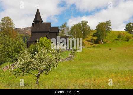 Doga chiesa Urnes, Norvegia, Ornes Foto Stock