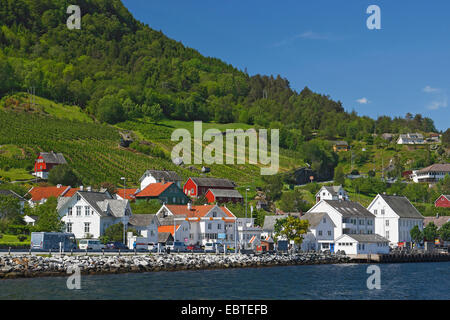 Villaggio Utne sulla costa, Norvegia, Utne Foto Stock