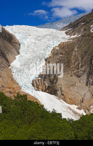 Briksdalsbreen Glacier, Norvegia, Jostedalsbreen Parco Nazionale Foto Stock