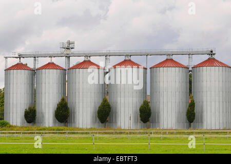 Grande complesso di silos, in Germania, in Renania settentrionale-Vestfalia Foto Stock