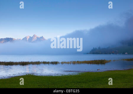 La nebbia oltre il Lago di Lucerna, Mythen mountain in background, Svizzera, Kanton Schwyz, Mythen Foto Stock