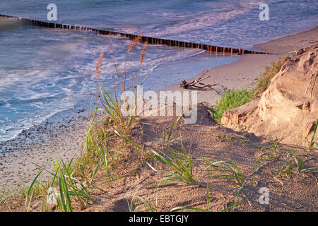 Vista di un groyne del Mar Baltico, Germania, Meclemburgo-Pomerania, Wustrow Foto Stock