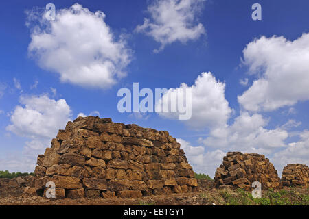 Pile di balle di torba all'estrazione di torba a Goldenstedter Moor, Goldenstedt, Bassa Sassonia Foto Stock