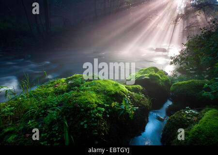 Raggi di sole a forest creek, in Germania, in Sassonia, Vogtland, Triebtal Foto Stock