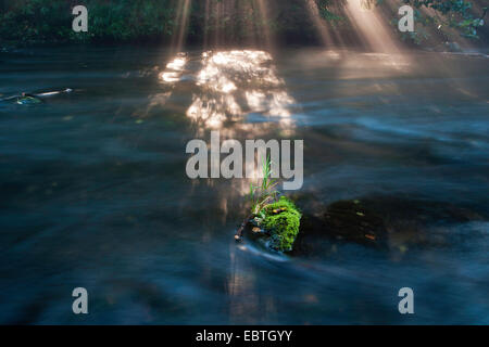 Raggi di sole a forest creek, in Germania, in Sassonia, Vogtland, Triebtal Foto Stock