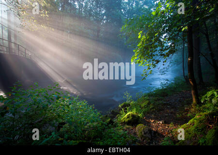 Raggi di sole a forest creek, in Germania, in Sassonia, Vogtland, Triebtal Foto Stock