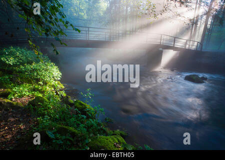 Raggi di sole a forest creek, in Germania, in Sassonia, Vogtland, Triebtal Foto Stock