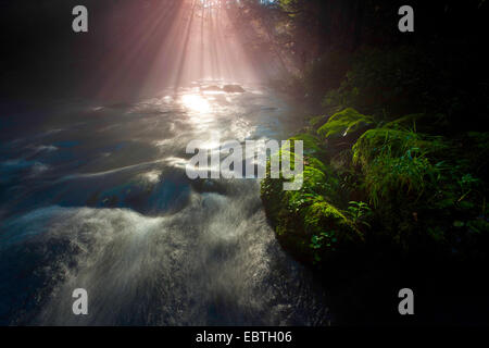 Raggi di sole a forest creek, in Germania, in Sassonia, Vogtland, Triebtal Foto Stock