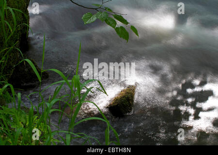 Vista da un'erba-cresciute riverside a il gioco di luce e di ombra sulla superficie dell'acqua, in Germania, in Sassonia, Vogtland, Triebtal Foto Stock