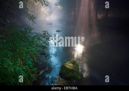 Raggi di sole a forest creek, in Germania, in Sassonia, Vogtland, Triebtal Foto Stock