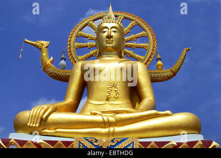 Golden grande statua del Buddha, Thailandia, Ko Samui, Ban Plai Foto Stock