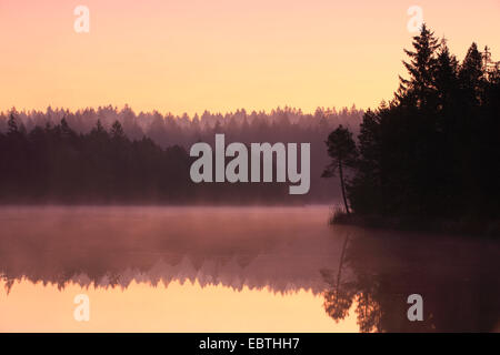 Etang de la GruÞre lago Moro, Svizzera, Saignelegier Foto Stock