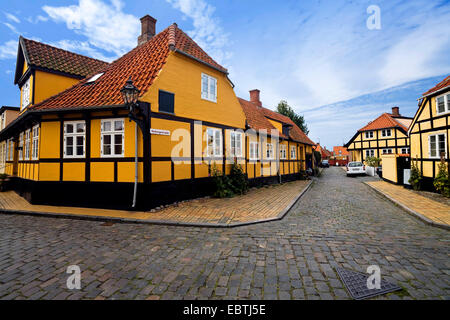 Alley con tipiche case a graticcio, Danimarca, Bornholm Roenne Foto Stock