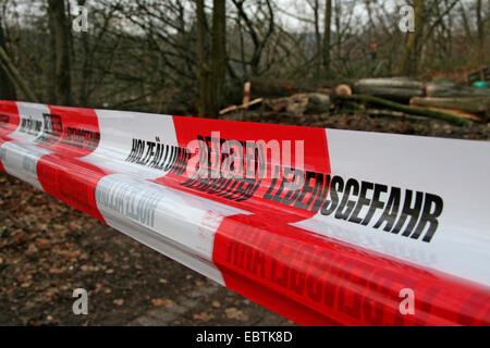 Attenzione nastri a un legno area di lavoro, in Germania, in Renania settentrionale-Vestfalia Foto Stock