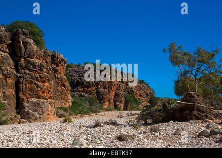Mandu mandu gorge nel Cape Range National Park, Australia Australia Occidentale, Cape Range National Park Foto Stock