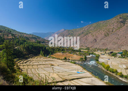 Agriturismo e campi di riso terrazzati e Wang Chu, Thimphu River, Bhutan Foto Stock