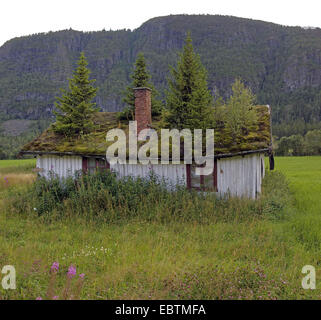 Vecchia cabina con tetto turfed, Norvegia, Hemsedal Foto Stock