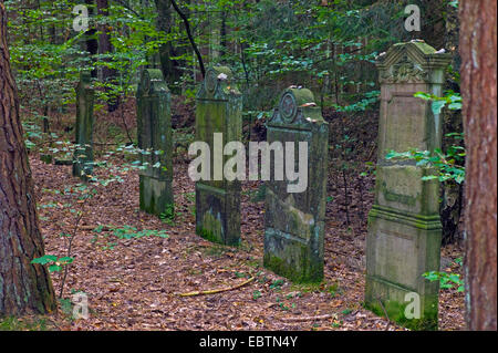 Vecchio Cimitero Ebreo nella foresta, Germania, Bassa Sassonia, Cuxhaven, Wingst Foto Stock