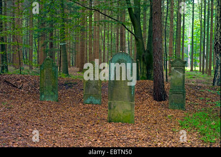 Vecchio Cimitero Ebreo nella foresta, Germania, Bassa Sassonia, Cuxhaven, Wingst Foto Stock