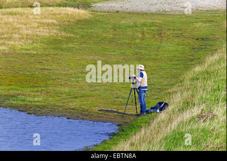 Fotografo in salmastre di Schillig, Germania, Bassa Sassonia, Frisia Foto Stock