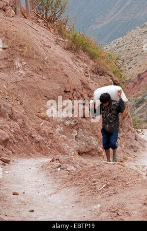 Lavoratore alaggio sacchi di sale a Salinas De Maras, Perù Cusco Foto Stock