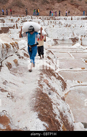 Lavoratori alaggio sacchetti di sale al sale stagni di Salinas De Maras, Perù Cusco Foto Stock