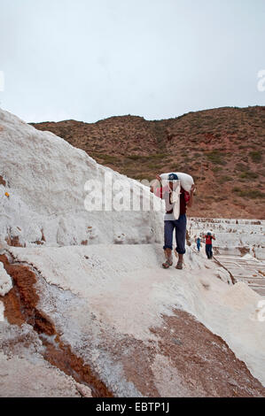 Lavoratore alaggio sale a saline Salinas De Maras, Perù, Maras Foto Stock
