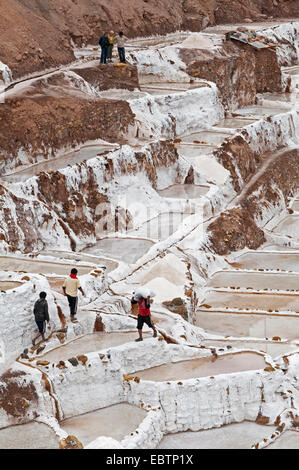 I lavoratori che trasportano il sale nelle saline di Salinas De Maras, Perù, Maras Foto Stock