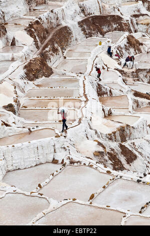 Lavoratore che trasportano il sale nelle saline di Salinas De Maras, Perù, Maras Foto Stock