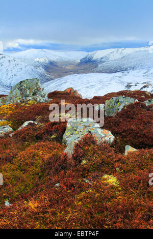 Glenshee highlands, Regno Unito, Scozia, Cairngorms National Park Foto Stock