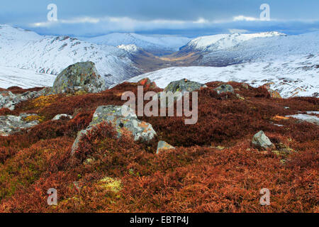 Glenshee highlands, Regno Unito, Scozia, Cairngorms National Park Foto Stock