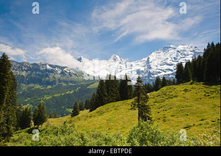 Massiccio Jungfrau, Svizzera Oberland Bernese, Muerren Foto Stock