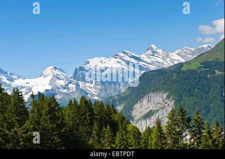 Massiccio Jungfrau, Svizzera Oberland Bernese, Muerren Foto Stock