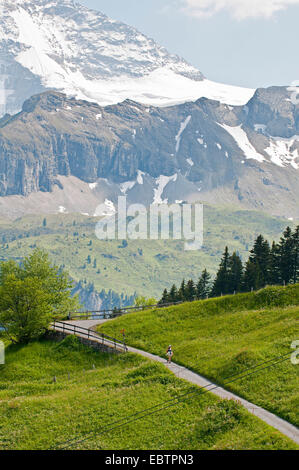 Massiccio Jungfrau e il sentiero escursionistico vicino Murren, Svizzera Oberland Bernese, Muerren Foto Stock