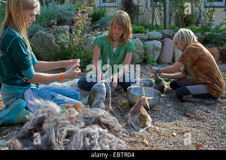 "Feltro stone troll' che serve come giardino decorazione: tre bambini tappi inumidito di feltro di lana su pietre naturali, Germania Foto Stock