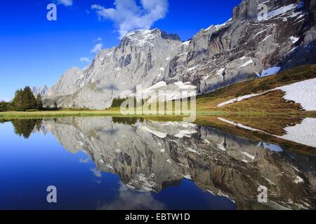 Vista dal valico alpino "Grosse Scheidegg' all'Engelhoerner, Svizzera, Berna, Oberland bernese Foto Stock