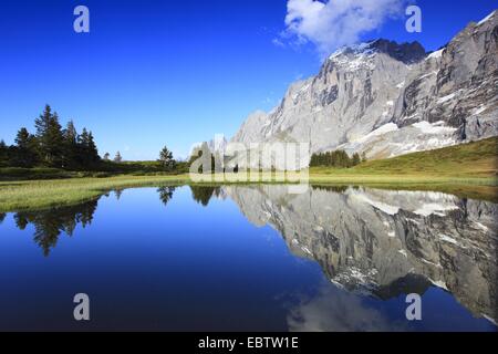 Vista dal valico alpino "Grosse Scheidegg' all'Engelhoerner, Svizzera, Berna, Oberland bernese Foto Stock