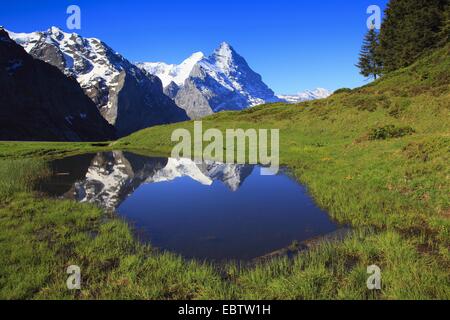 Vista Eiger e il Moench sotto un cielo blu chiaro che riflette in un lago in un prato di montagna, svizzera, Berna, Grindelwald Foto Stock