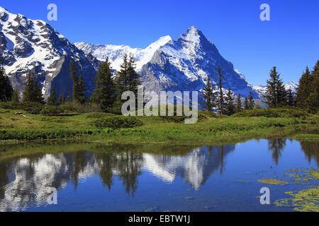 Vista Eiger e il Moench sotto un cielo blu chiaro che riflette in un lago in un prato di montagna, svizzera, Berna, Grindelwald Foto Stock