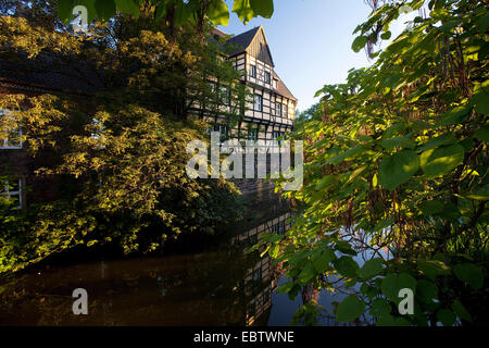 Palazzo Wittringen, in Germania, in Renania settentrionale-Vestfalia, la zona della Ruhr, Gladbeck Foto Stock