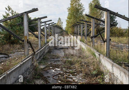 Old byre in Korohod kolkhoz village, la centrale nucleare di Cernobyl Zona di alienazione, Ucraina Foto Stock