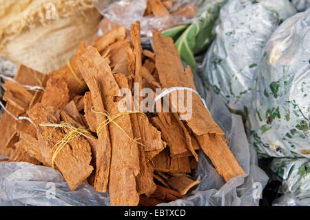 Fasci di cannella sul mercato, Saint Vincent e Grenadine, Kingstown Foto Stock