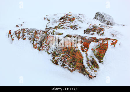 Cumuli di neve, Regno Unito, Scozia, Cairngorms National Park Foto Stock