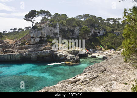Spiaggia nella baia di Cala s'Almonia, Spagna, Balearen, Maiorca Foto Stock